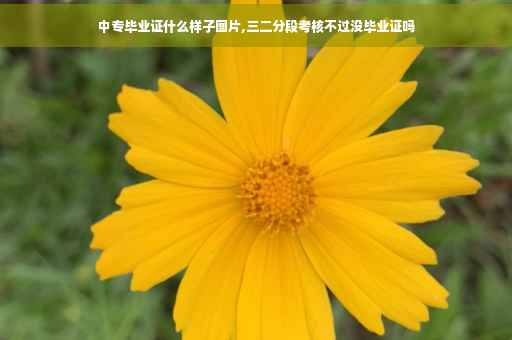 中专毕业证什么样子图片,三二分段考核不过没毕业证吗