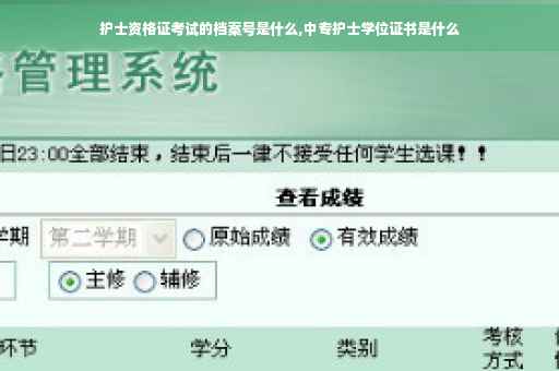 护士资格证考试的档案号是什么,中专护士学位证书是什么