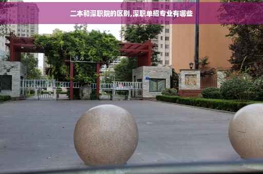 二本和深职院的区别,深职单招专业有哪些