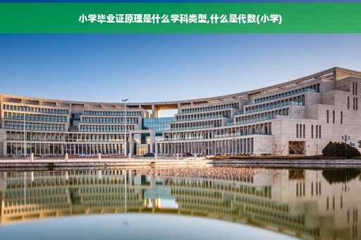 小学毕业证原理是什么学科类型,什么是代数(小学)