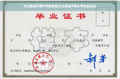 什么职业不看大学毕业证(什么职业不看大学毕业证书)
