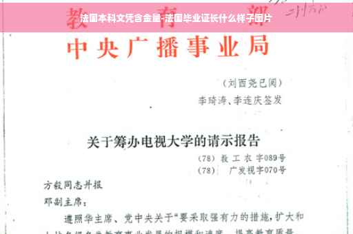 法国本科文凭含金量-法国毕业证长什么样子图片