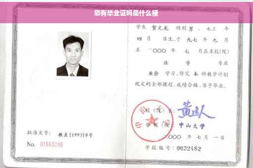 您有毕业证吗是什么梗