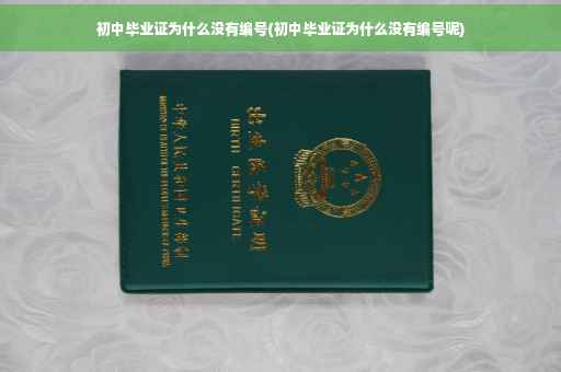 初中毕业证为什么没有编号(初中毕业证为什么没有编号呢)