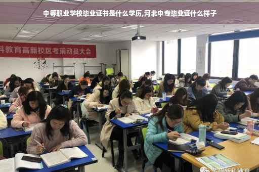 中等职业学校毕业证书是什么学历,河北中专毕业证什么样子