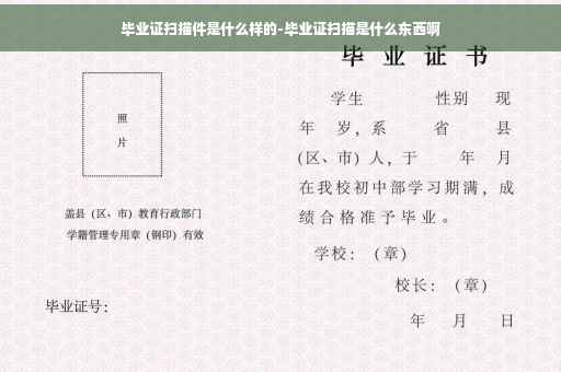 毕业证扫描件是什么样的-毕业证扫描是什么东西啊