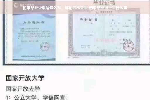 初中毕业证编号怎么写，你们会不会写,初中毕业证上写什么字