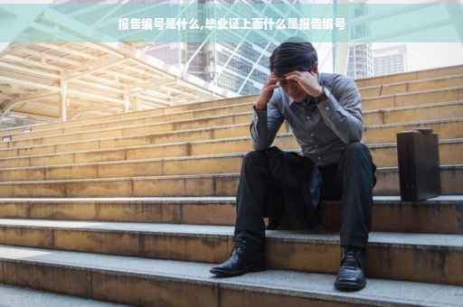 报告编号是什么,毕业证上面什么是报告编号