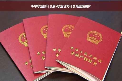 小学毕业照什么底-毕业证为什么是蓝底照片