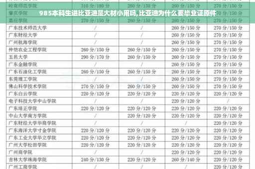 985本科生进比亚迪是大材小用吗,比亚迪为什么要毕业证原件