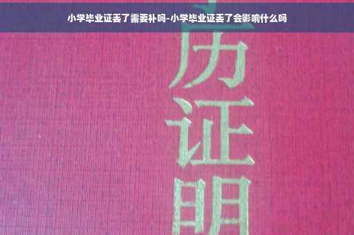 小学毕业证丢了需要补吗-小学毕业证丢了会影响什么吗