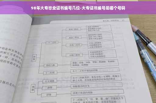 98年大专毕业证书编号几位-大专证书编号是哪个号码 98年大专毕业证书编号几位-大专证书编号是哪个号码