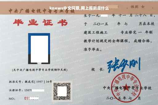 knews中文何意,网上报到是什么