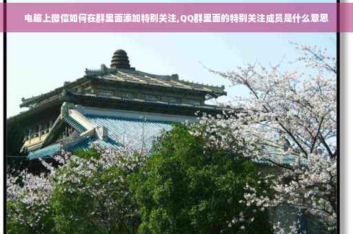 电脑上微信如何在群里面添加特别关注,QQ群里面的特别关注成员是什么意思