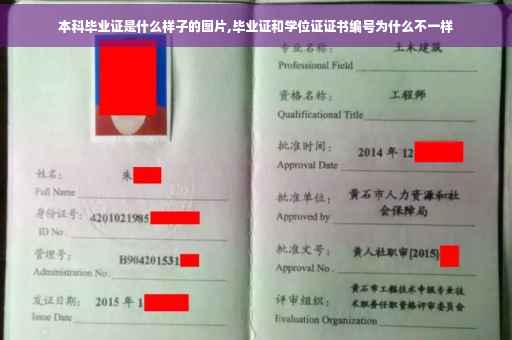 本科毕业证是什么样子的图片,毕业证和学位证证书编号为什么不一样