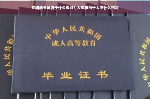 专科毕业证属于什么级别?,大专相当于大学什么档次