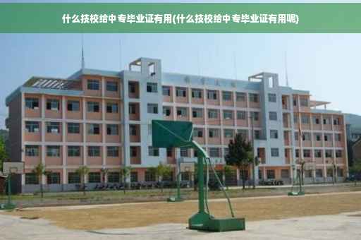 什么技校给中专毕业证有用(什么技校给中专毕业证有用呢)