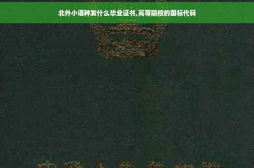 北外小语种发什么毕业证书,高等院校的国标代码