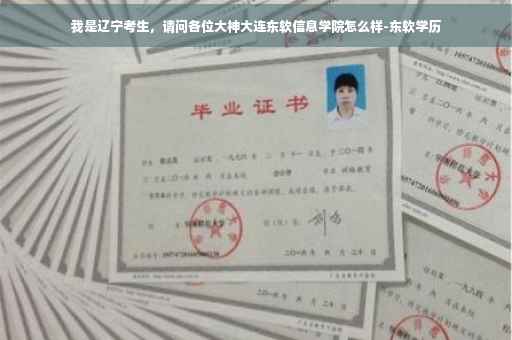 我是辽宁考生，请问各位大神大连东软信息学院怎么样-东软学历