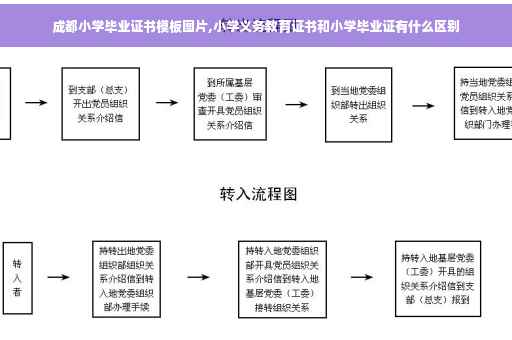 成都小学毕业证书模板图片,小学义务教育证书和小学毕业证有什么区别