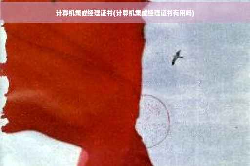 计算机集成经理证书(计算机集成经理证书有用吗)