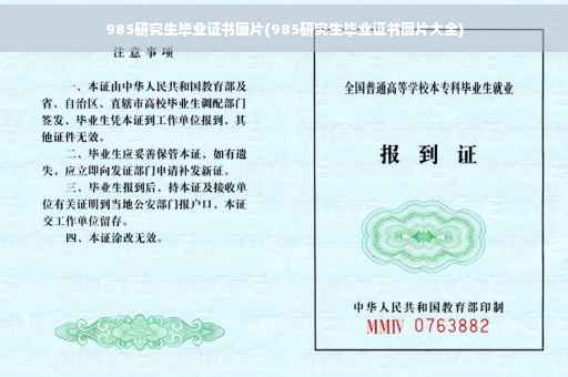 985研究生毕业证书图片(985研究生毕业证书图片大全)