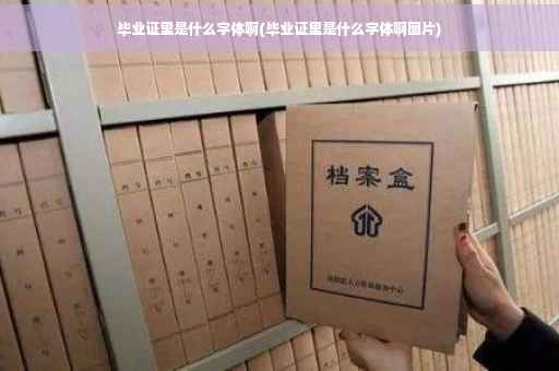 毕业证里是什么字体啊(毕业证里是什么字体啊图片)