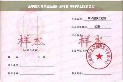 正中的大专毕业证是什么样的,专科学士服怎么分