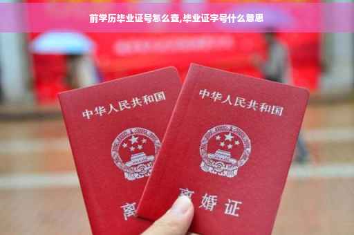 前学历毕业证号怎么查,毕业证字号什么意思