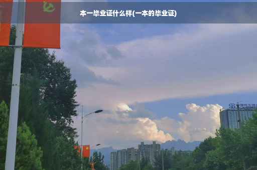 本一毕业证什么样(一本的毕业证)