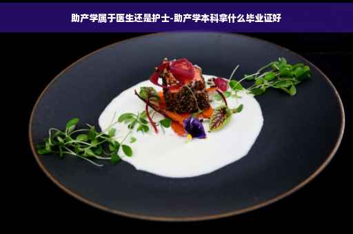 助产学属于医生还是护士-助产学本科拿什么毕业证好