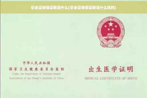 毕业证审验证明是什么(毕业证审验证明是什么样的)