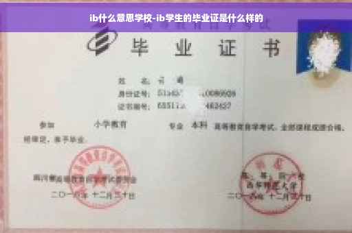 ib什么意思学校-ib学生的毕业证是什么样的