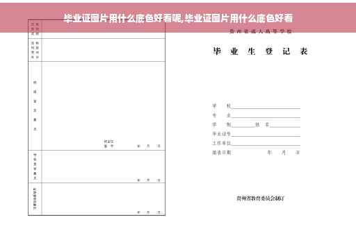 毕业证图片用什么底色好看呢,毕业证图片用什么底色好看