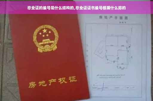 毕业证的编号是什么结构的,毕业证证书编号根据什么排的