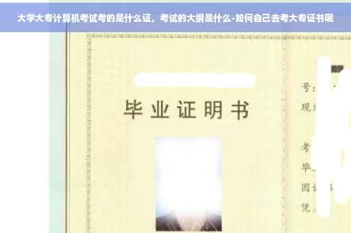 大学大专计算机考试考的是什么证，考试的大纲是什么-如何自己去考大专证书呢