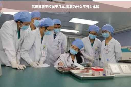 武汉武职学校属于几本,武职为什么不升为本科