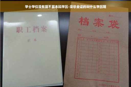 学士学位没有算不算本科学历-没毕业证的叫什么学历啊