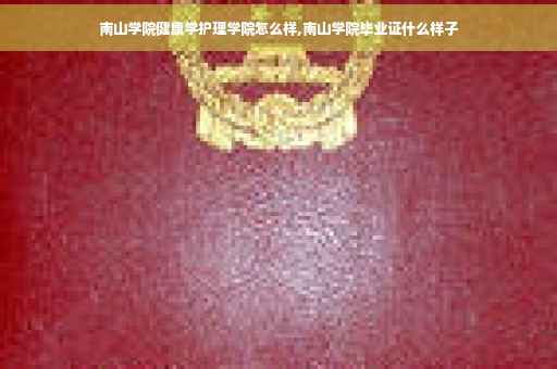 南山学院健康学护理学院怎么样,南山学院毕业证什么样子