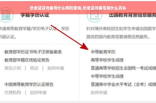 毕业证证书编号什么规则查询,毕业证书编号是什么开头