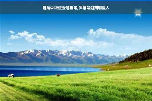 消防中级证去哪里考,罗翔是湖南哪里人