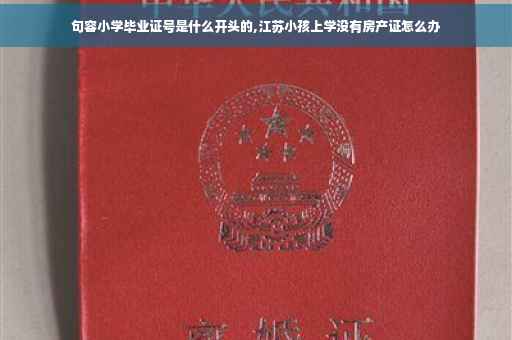 句容小学毕业证号是什么开头的,江苏小孩上学没有房产证怎么办