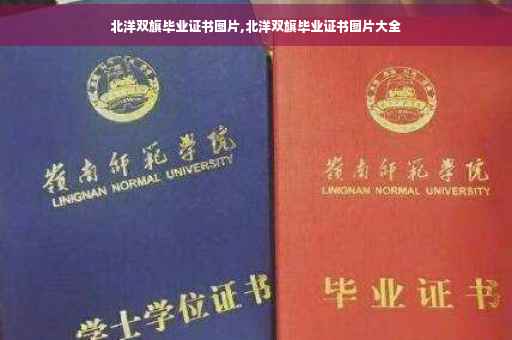 北洋双旗毕业证书图片,北洋双旗毕业证书图片大全