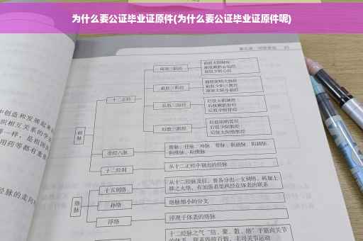 为什么要公证毕业证原件(为什么要公证毕业证原件呢)