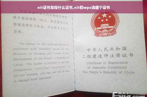 nit证书是指什么证书,nit和wps选哪个证书