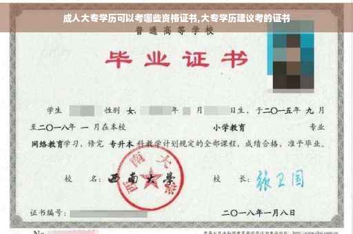 成人大专学历可以考哪些资格证书,大专学历建议考的证书