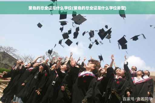 紫色的毕业证是什么学位(紫色的毕业证是什么学位类型)