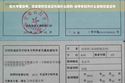 在大学里自考，毕业拿的毕业证书是什么样的-自考本科为什么会有毕业证书