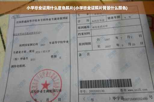 小学毕业证用什么底色照片(小学毕业证照片背景什么颜色)