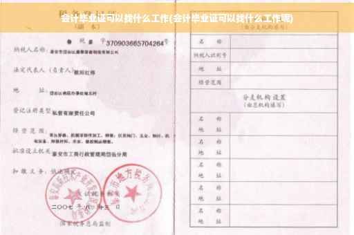 会计毕业证可以找什么工作(会计毕业证可以找什么工作呢)